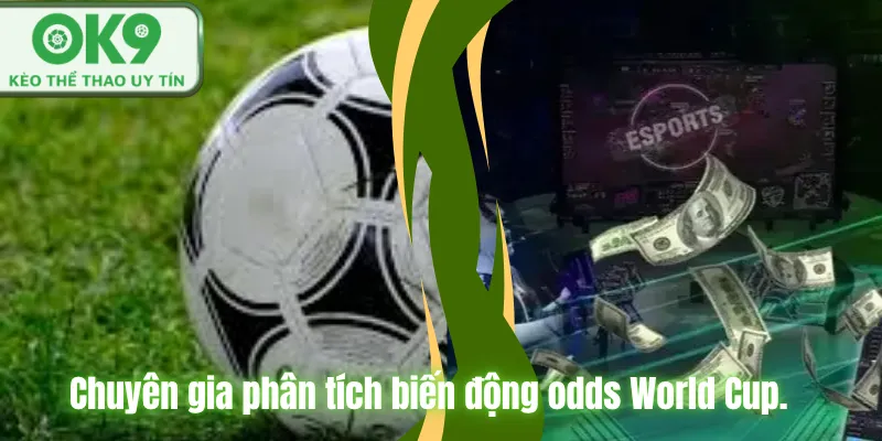Chuyên gia phân tích biến động odds World Cup.