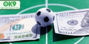 cách cá cược worldcup hiệu quả ok9